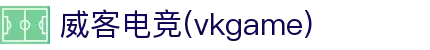 威客电竞(vkgame)-为竞技而生